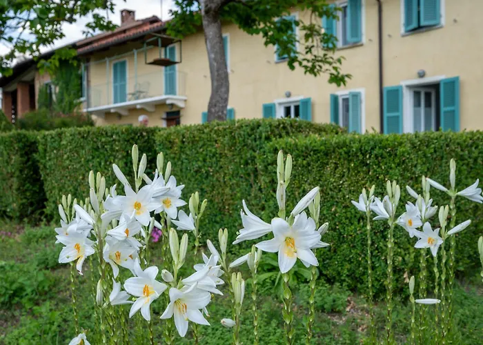 Le Cineserie By Interhome Tatil Evi Cortandone